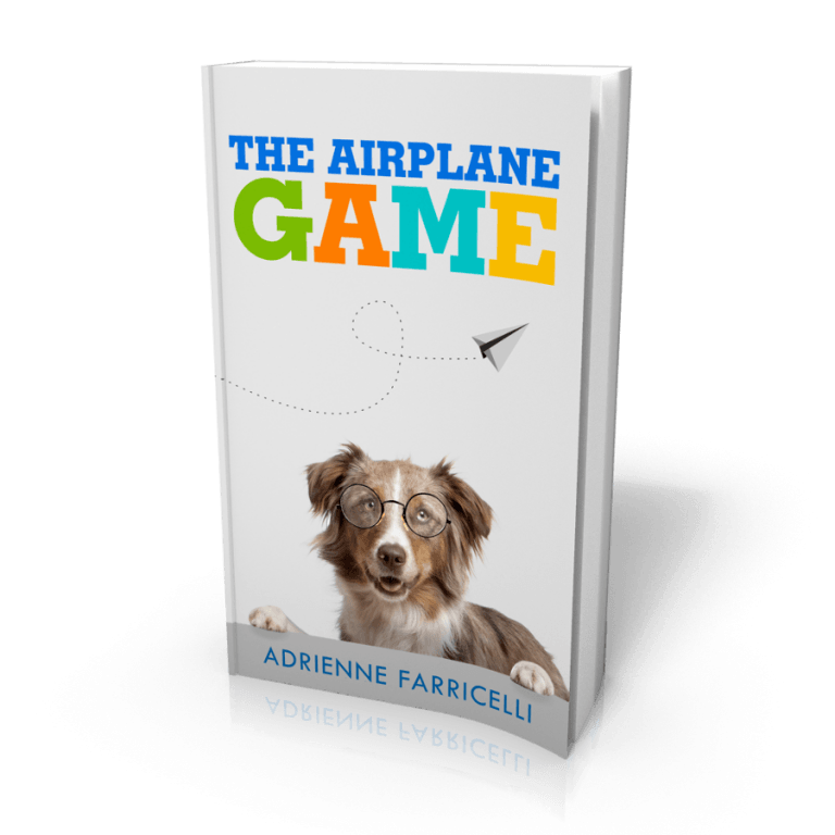 the airplane game